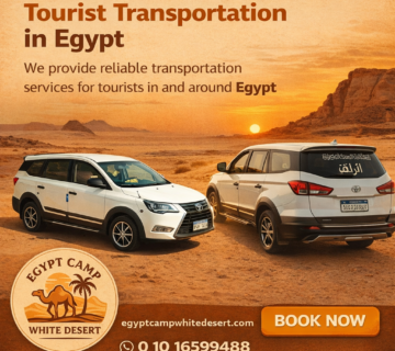 Transportaion 360x320