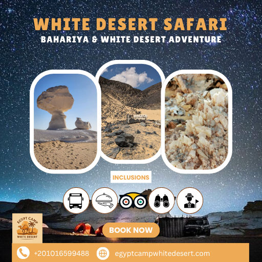 A Magical 2 Days / 1 Night Journey to the Black & White Desert