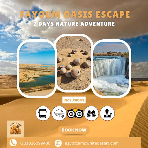 2 Days / 1 Night Fayoum Desert Program