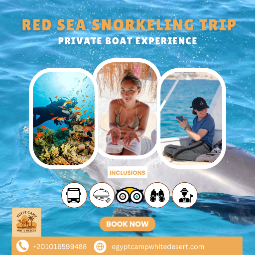Private Full-Day Snorkeling Trip with Island or Dolphin House Visit – Hurghada