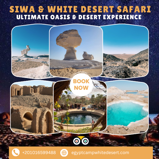 5 Days and 4 nights, Siwa, Bahariya Oasis and the White Desert