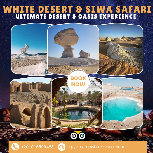 4 Days / 3 Nights Bahariya Oasis & Siwa Desert Adventure – Safari, Nature & Hidden Wonders