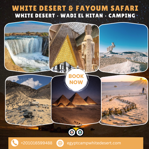 White Desert & Bahariya Oasis Safari with Fayoum & Wadi El Hitan | 4 Days Adventure in Egypt