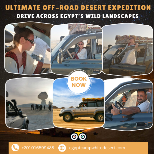 For True Off-Road Lovers – Drive Across Egypt’s Wild Deserts | 12-Day Expedition