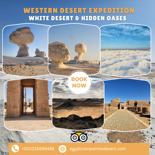 5-Day Desert Adventure Program (White Desert – Dakhla Oasis – Kharga Oasis – Cairo or Luxor)