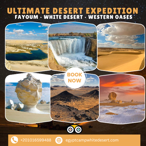 6-Day Desert Odyssey: Explore Fayoum, the White Desert & Egypt’s Hidden Oases