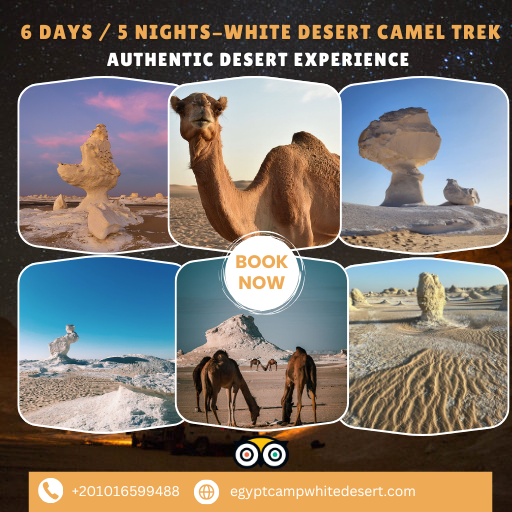 6-Day, 5-Night Camel Trek & Walking Tour in the White Desert