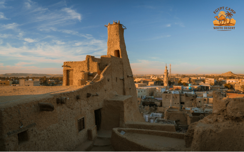 <trp post container data trp post id='8652'>Best Siwa Oasis Tours from Cairo: Private Desert Safari Guide</trp post container>
